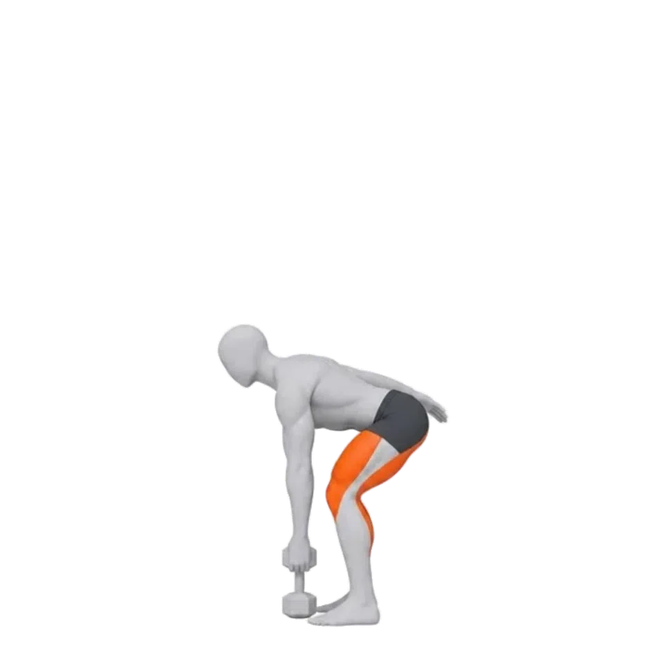 Animated demonstration of a dumbbell snatch.