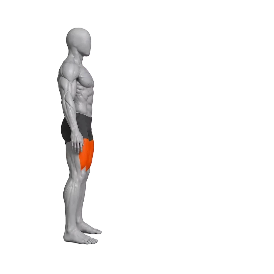 Animated demonstration of a lunge.